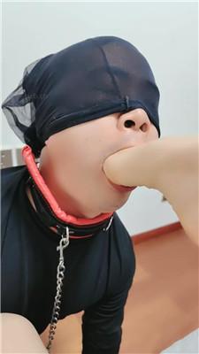 131838v2f6fjnimjitiw2w.jpg