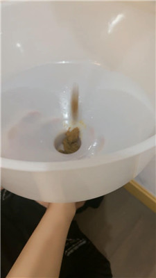 2_20240929160325.JPG