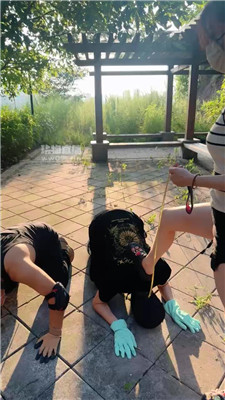 【伊晨】双S双M-户外遛狗-清理脏鞋白棉袜