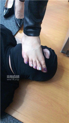 qy_20250917214849.JPG
