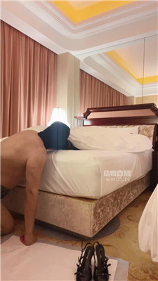 【月亮钟离】2126+1954