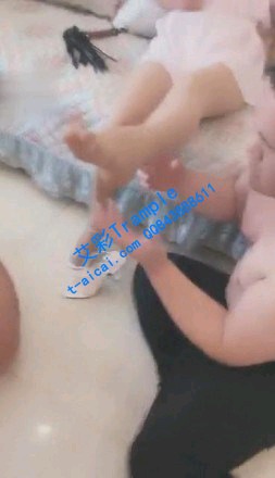 【调教视频】【冷柔s】随意蹂躏羞辱羞辱两个小肥狗(完整版)