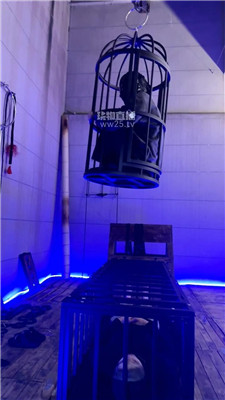 【暴躁七七】12011