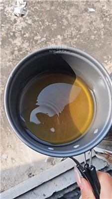 【芝芝女王】9441