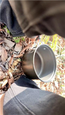 【芝芝女王】5151