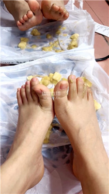 【猫猫】裸足踩香蕉    260325-36BP