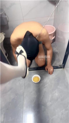 津津小主2 2056