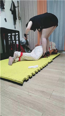安心1 3028