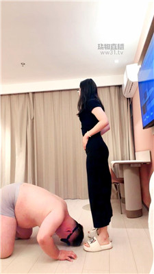 雅雅8308