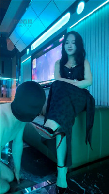 叶鹿3654
