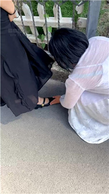 西北傻子5530