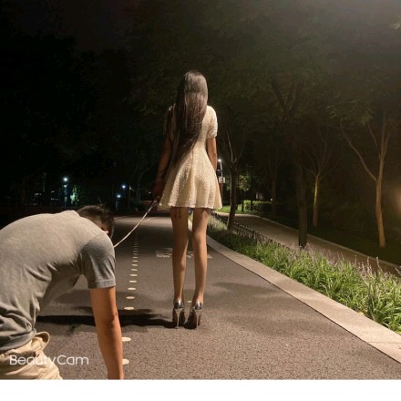 诺曦S外滩遛狗呕吐